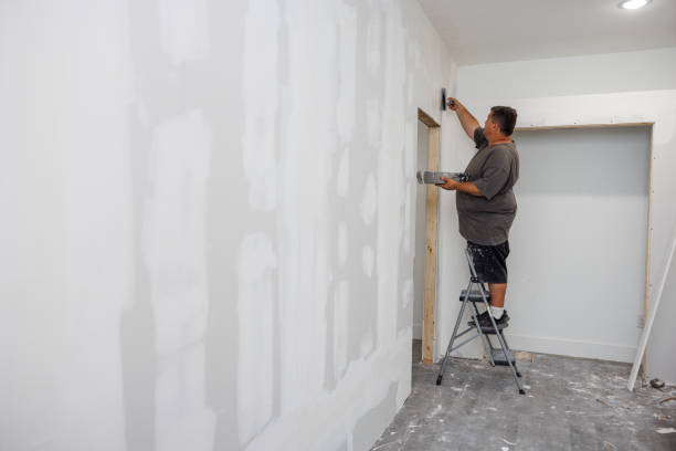 Mold Documentation for Insurance Claims in Minot Af, ND