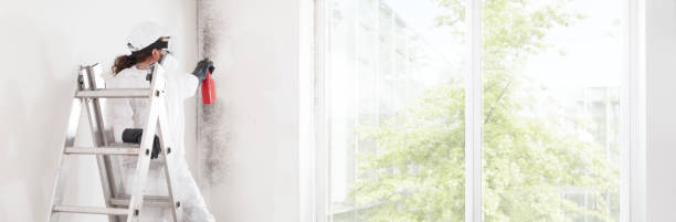 Best Indoor Air Quality Assessment  in Minot Af, ND