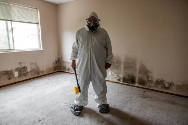 Biohazard Mold Removal in Minot Af, ND